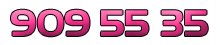 9095535
